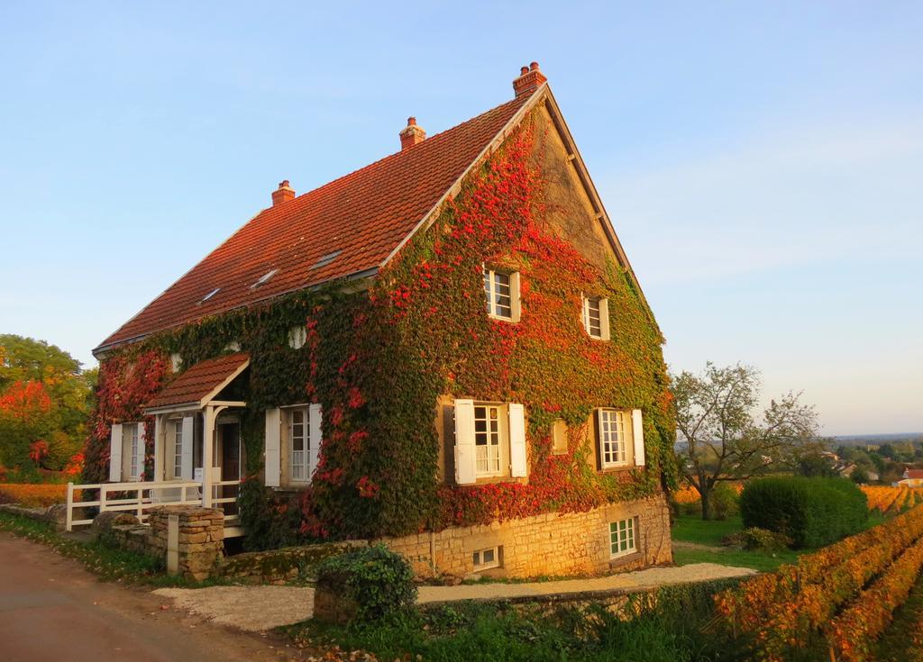 La Passerelle Des Corton B&B 알록스코르톤 외부 사진